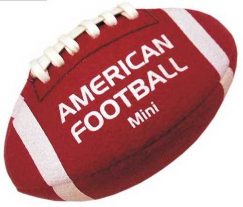Mini Regular  American football