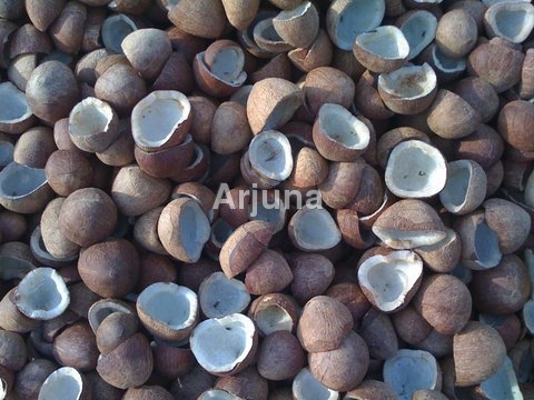Coconut Copra
