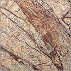 Rain Forest Brown