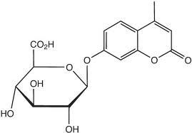 4-Methyl umbelliferyl-beta-d-glucoronide tri hydrate