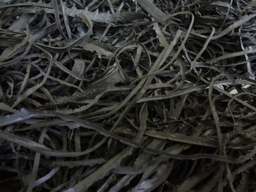 Tire Rubber Scrap 