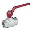 Ball Valves - Female 2 Female