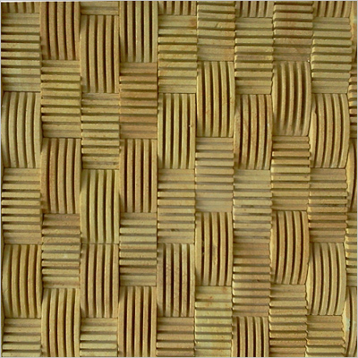 Designer Elevation Tiles