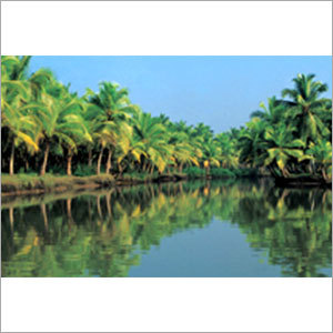 Honeymoon in Kerala
