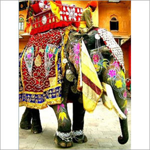 Elephant Festival - Annual Cultural Event, Elephant Races, Polo, Procession, Rajasthan Heritage
