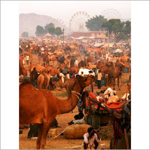 Pushkar Fair