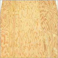 Decorative Plywood By MAGIC PLY INDUSTRIES