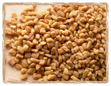 Fenugreek Seeds