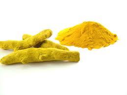 Fresh Yellow Turmeric Root