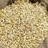 Bajra