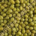 Green Mung Beans