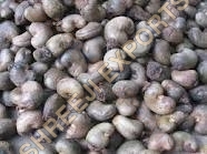 Raw Cashew Beans