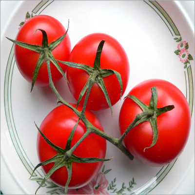 Pruning Vine Tomatoes