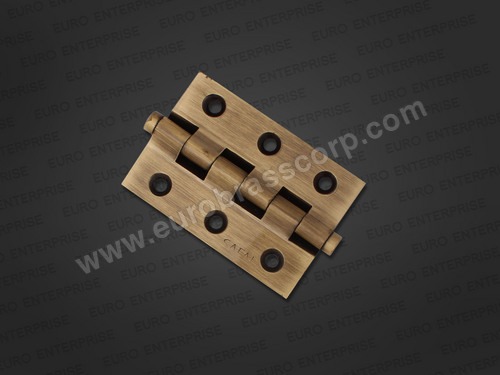 Brass Railway Door Hinges