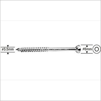 Malleolar Screw 1