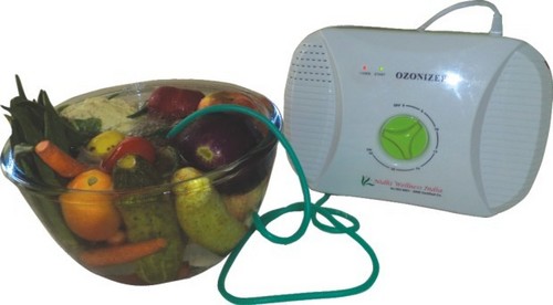 Food Ozonizer