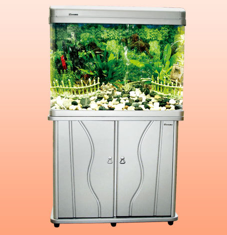 Mj R6 810 B Aquarium 