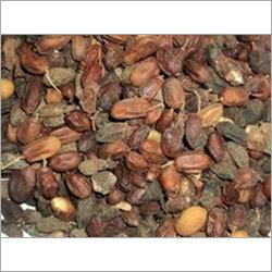 Neem Fruit Seeds