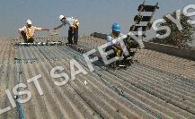 Roof Top Ladder