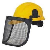 Face Shields