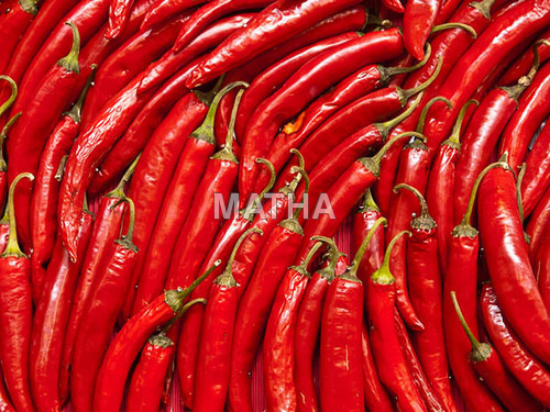 Chillies From South India