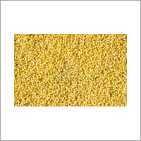 Yellow Millet