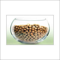 Soyabean Seeds