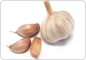 Dehydrated Garlic Powder - Dehydrated Garlic, Off-White, Fine Powder, <5% Moisture | Versatile Use, Long Shelf Life, Easy to Store