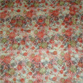 Cashmere Pashmina Shawls