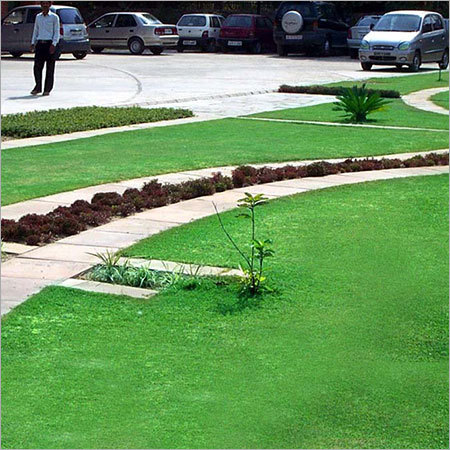 Lawn Landscaping