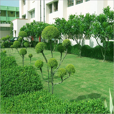 Kendriya Vidhayalay, Pashchim Vihar, New Delhi