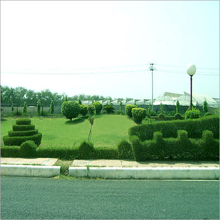 Lawns & Hedges at NASC Complex Pusa, New Delhi