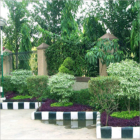 Ground Covers at Sagar Apptt, Gurgaon