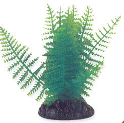 Aqua One Plant 24183