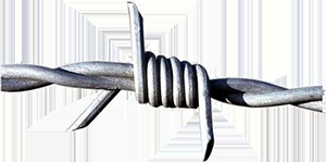 Barbed Wire