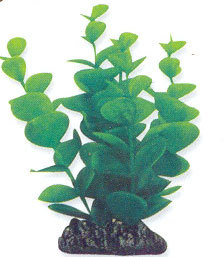Aqua One Plant 24187,24197
