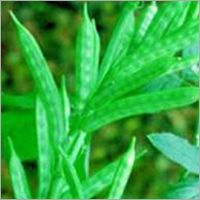 Guar Gum