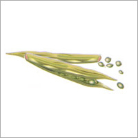 Guar Gum
