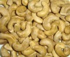 Cashew nut