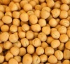 Yellow Peas