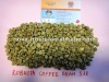 Vietnam Robusta Coffee