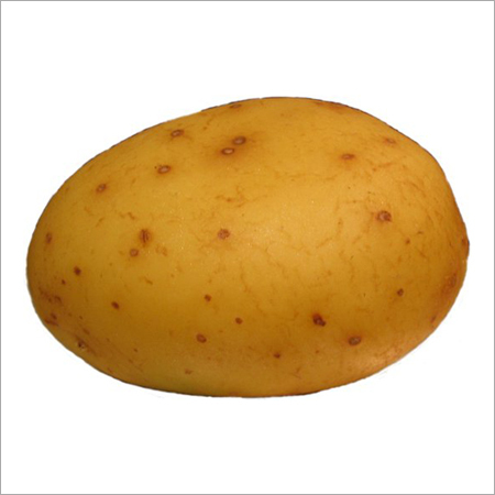 Fresh Potato