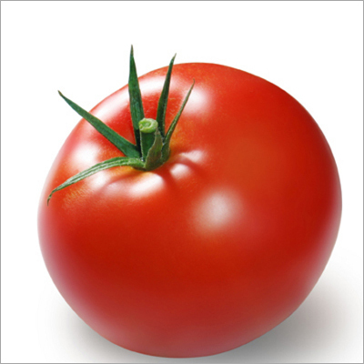 Fresh Red Tomato