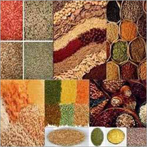 Urad Dal