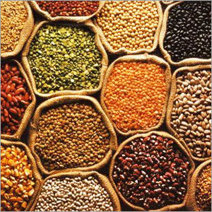 Whole Moong Dal