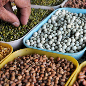 Indian Pulses