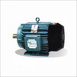 Energy Efficient Electric Motors