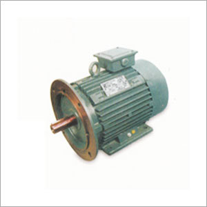 High Voltage Motors Series