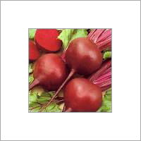 Red Beetroot