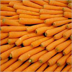 Carrot
